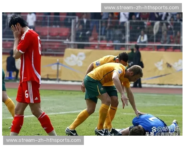 2010南非世界杯：一场足球的盛宴，一场历史的回响